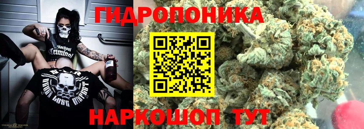 Каннабис индика  Марихуана ГИДРОПОН  Марихуана конопля  Сафоново  Вход с VPN 